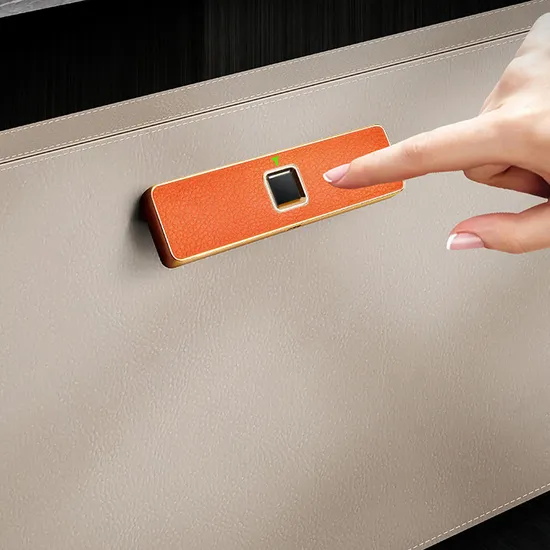 Cerraduras recargables electrónicas ocultadas cuero del cajón de la cerradura USB del archivador del cuero biométrico elegante