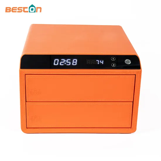 Caja fuerte de cuero inteligente para el hogar, caja fuerte biométrica Digital con huella dactilar para joyería, cajón de seguridad