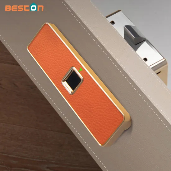 Cerraduras recargables electrónicas ocultadas cuero del cajón de la cerradura USB del archivador del cuero biométrico elegante