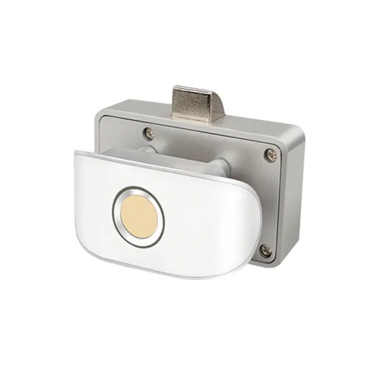 Cerradura inteligente para cajón de gabinete con huella dactilar, cerradura eléctrica para armario de muebles, seguridad infantil